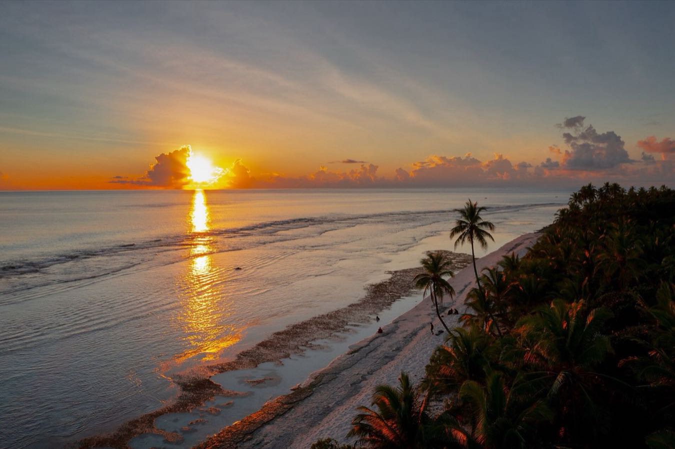 Gan, Laamu